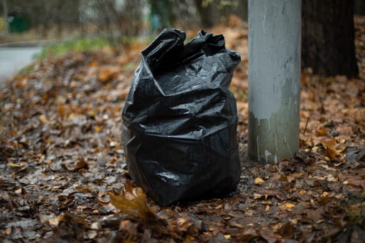 Black garbage bag. Waste bag. Cleaning in park. Black plastic bag.