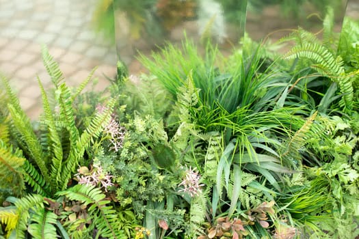 Plants in park. Artificial plantations of plants. Decoration Details. Green plastic.