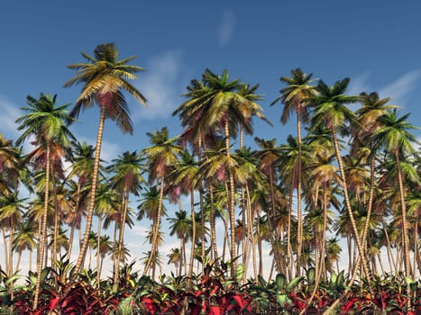 Computer generated 3D illustration with tropical trees