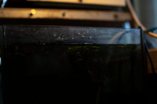 Old aquarium. Aquarium for fish. Glass wall. Water tank. Worn-out object.