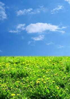 green grass landscape nature background