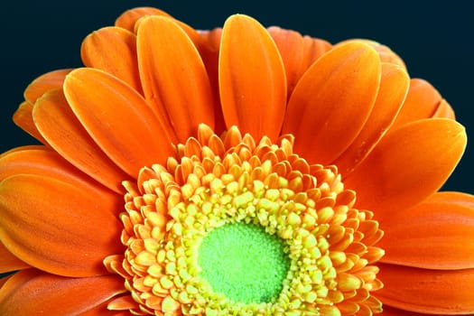 Very beautiful flowers gentle well smells card