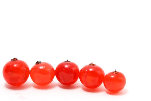 red currant isolated on white background