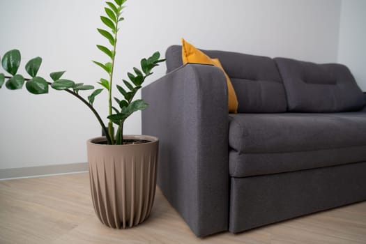 A gray fabric sofa with a mustard-yellow pillow sits beside a potted ZZ plant in a textured beige planter. Light-colored wood flooring is visible.