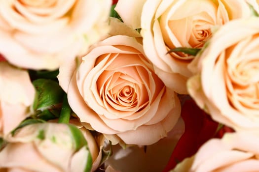 Very beautiful flowers gentle well smells card