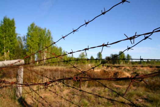 danger voltage fencing under blu sky