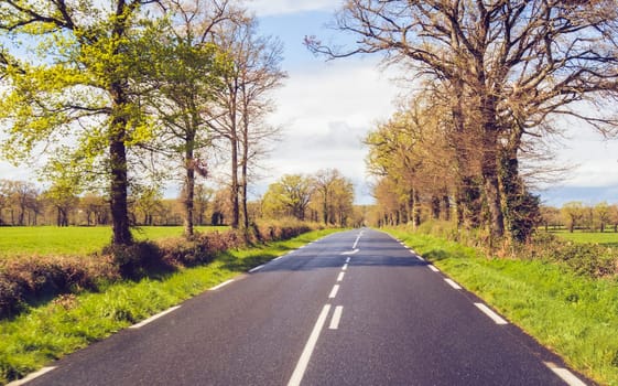 Driving on a rural french country road in spring