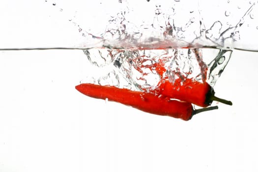 chili pepper cook hot and cold concept