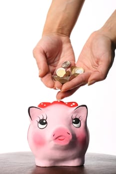cash Coin box pink pig and hand