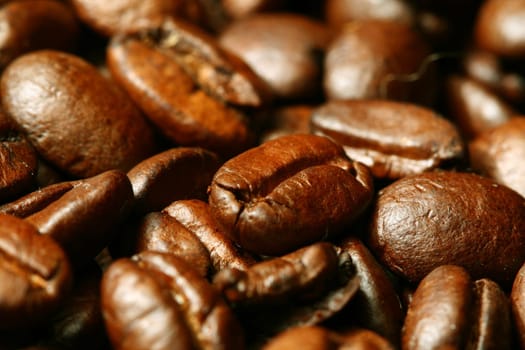 coffee beans macro close up