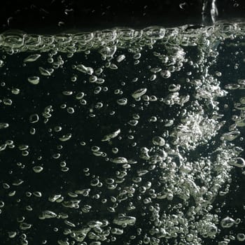 water bubbles macro close up