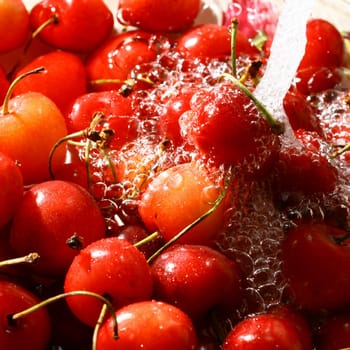 sweet red cherry under wet macro close up