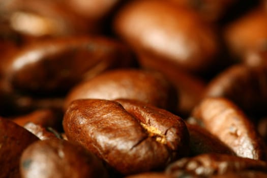 coffee beans macro close up