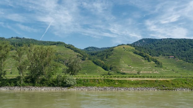 landscape of the Wachau on the Danube river in Austria, characterized by viticulture