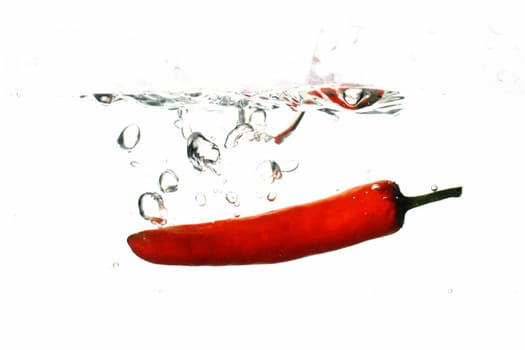 chili pepper cook hot and cold concept