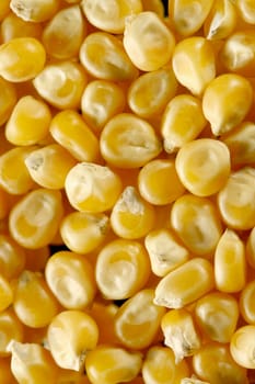 corn seeds nature food background