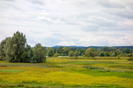 Bird island at the Altmuehlsee, Bavaria, Germany - Vogelfreistaette Flachwasser- und Inselzone im Altmuehlsee