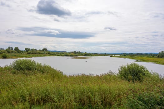 Bird island at the Altmuehlsee, Bavaria, Germany - Vogelfreistaette Flachwasser- und Inselzone im Altmuehlsee