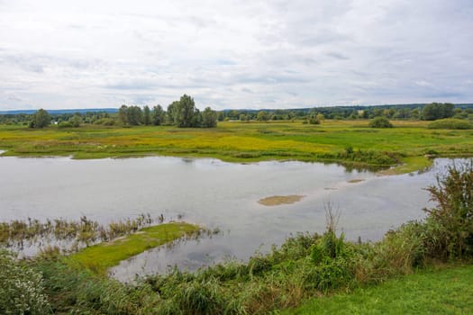 Bird island at the Altmuehlsee, Bavaria, Germany - Vogelfreistaette Flachwasser- und Inselzone im Altmuehlsee