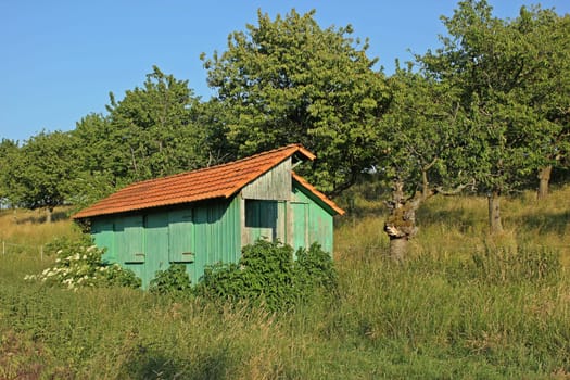 Green field barn next to scattered fruit meadow