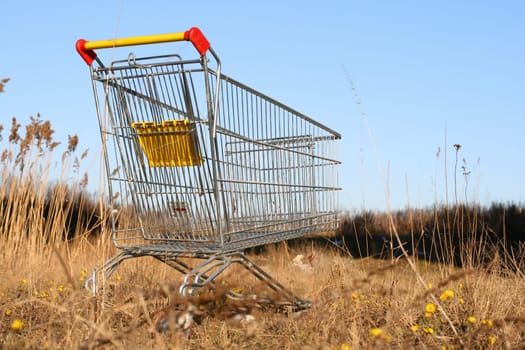 go shoping cart to the forest nature concept