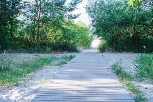 Seaside square and wooden road, bridge in the sand, surrounded by green trees in sunny day. Groove and forest, footpath to the beach. Travelling and vacation, road to adventure, trip. Copy space