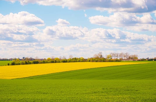 Rural landscape of cultivated fields in Nouvelle-Aquitaine, France