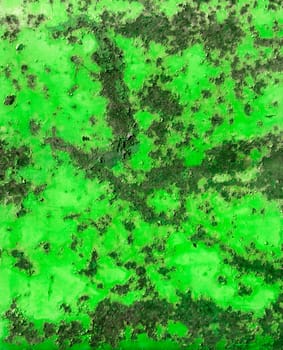 Closeup of rusty green metal siding.