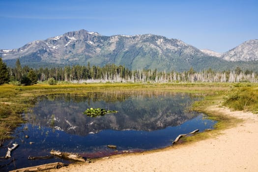 Mount Tallac Reflection.Taylor Creek.South Lake Tahoe, California.