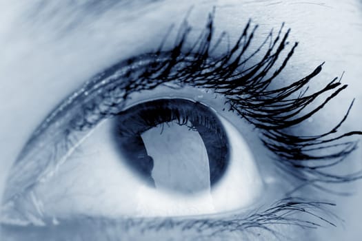 beauty blue eye see at you