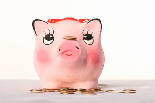 pink pig bank to hold money