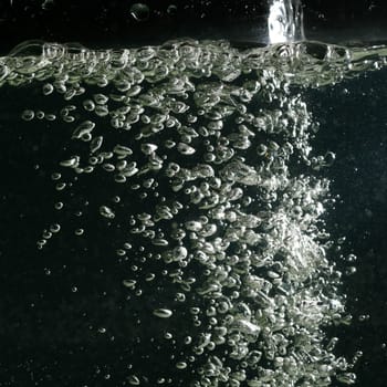 water bubbles macro close up