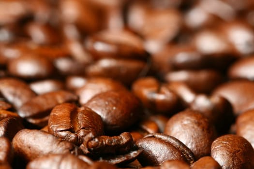 coffee beans macro close up