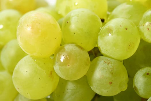 green grape isolated on white background