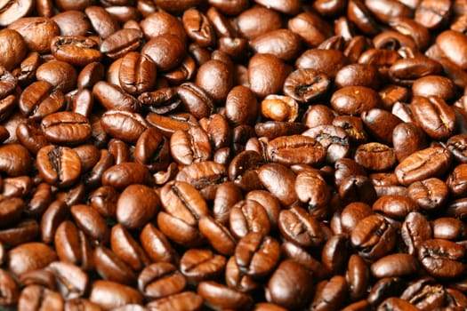coffee beans macro close up