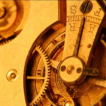 golden gear macro close up