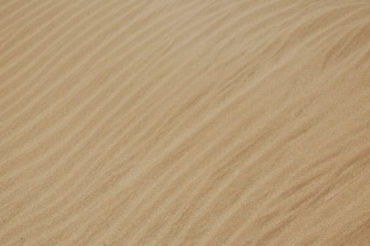 Sea sand background