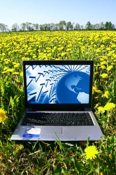 creative business laptop nature work