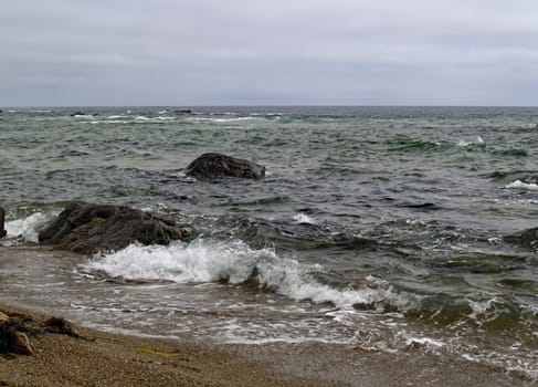 The Japanese sea at dull day skim in Russia