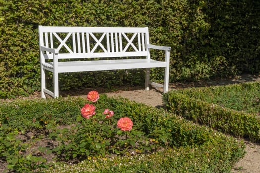 An old wooden white bench in a green park. An idyllic place to relax and enjoy nature