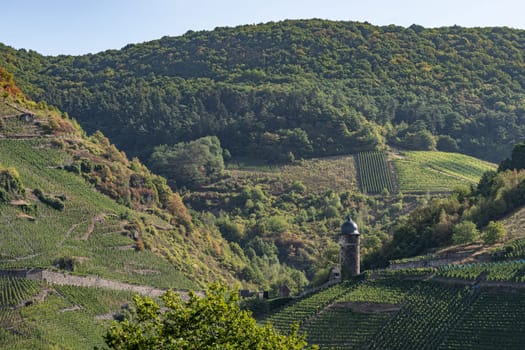 Spectacular, breathtaking panoramic view from the Prizenkop tower of the Moselle loop, the Moselle valley from Reil to the Bremmer Calmont, Zeller Hamm, the Hunsrück heights and the Kondelwald forest.