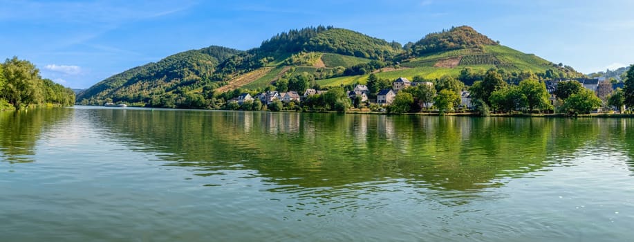 A beautiful view from Alf in the district of Cochem-Zell in Rhineland-Palatinate across the Moselle to Bullay in bright sunshine.