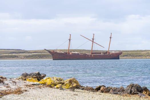 An old whaler wreck in Whalebone Cove off Stanley in the Falkland Islands. Stanley in the background