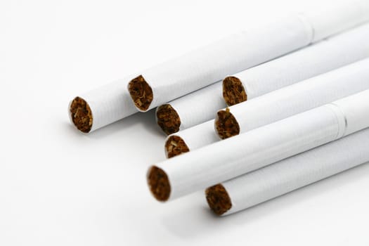 cigarette macro close up on white background