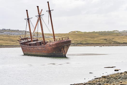 An old whaler wreck in Whalebone Cove off Stanley in the Falkland Islands. Stanley in the background