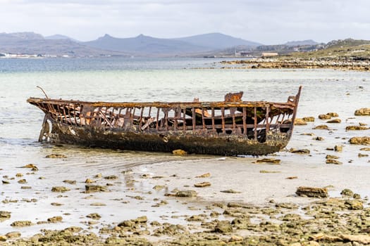 An old whaler wreck in Whalebone Cove off Stanley in the Falkland Islands. Stanley in the background