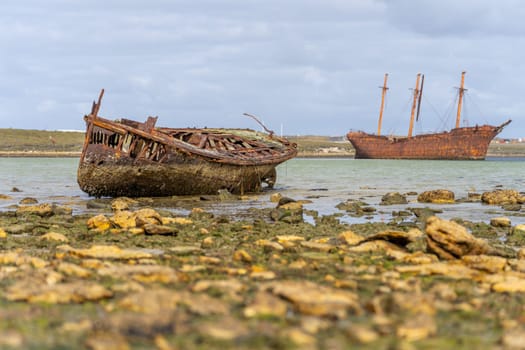 An old whaler wreck in Whalebone Cove off Stanley in the Falkland Islands. Stanley in the background