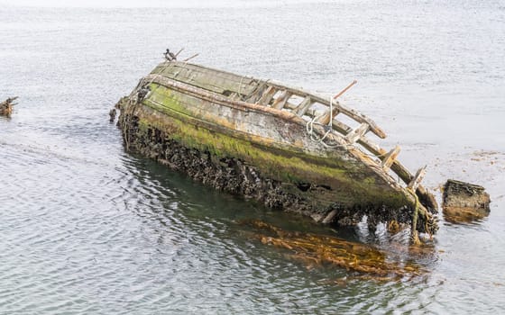 An old whaler wreck in Whalebone Cove off Stanley in the Falkland Islands. Stanley in the background