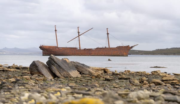An old whaler wreck in Whalebone Cove off Stanley in the Falkland Islands. Stanley in the background