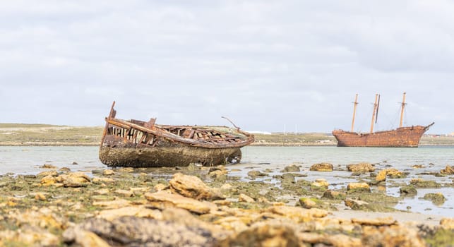 An old whaler wreck in Whalebone Cove off Stanley in the Falkland Islands. Stanley in the background